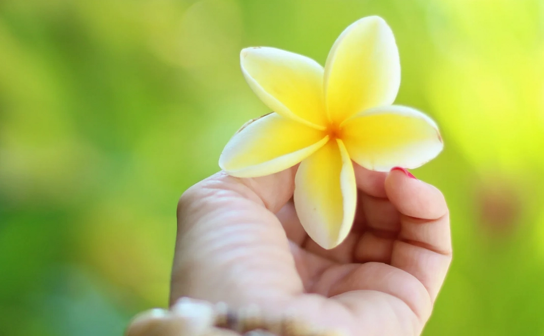 YUHKIの挑戦を応援！