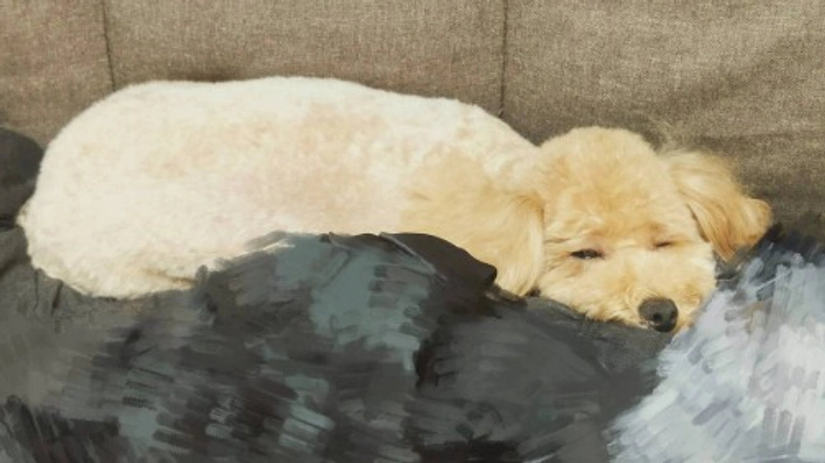 本日23時終了！残り10時間！