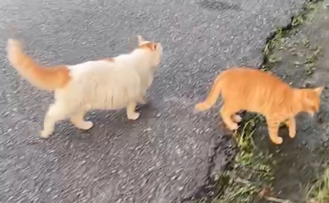 心からお礼のメール2