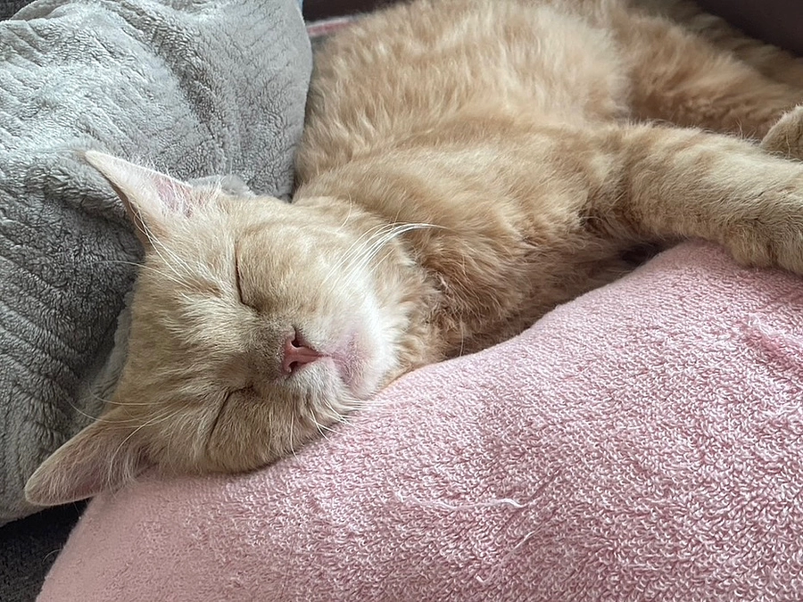 9名の方に貴重なご支援をいただけております。