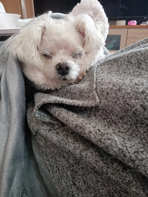 災害に合われた方々へ、どうか希望を持って🙏