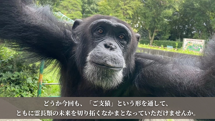 日本モンキーセンター｜動物たちのくらしをまもり、未来へつなぐ！ 5枚目