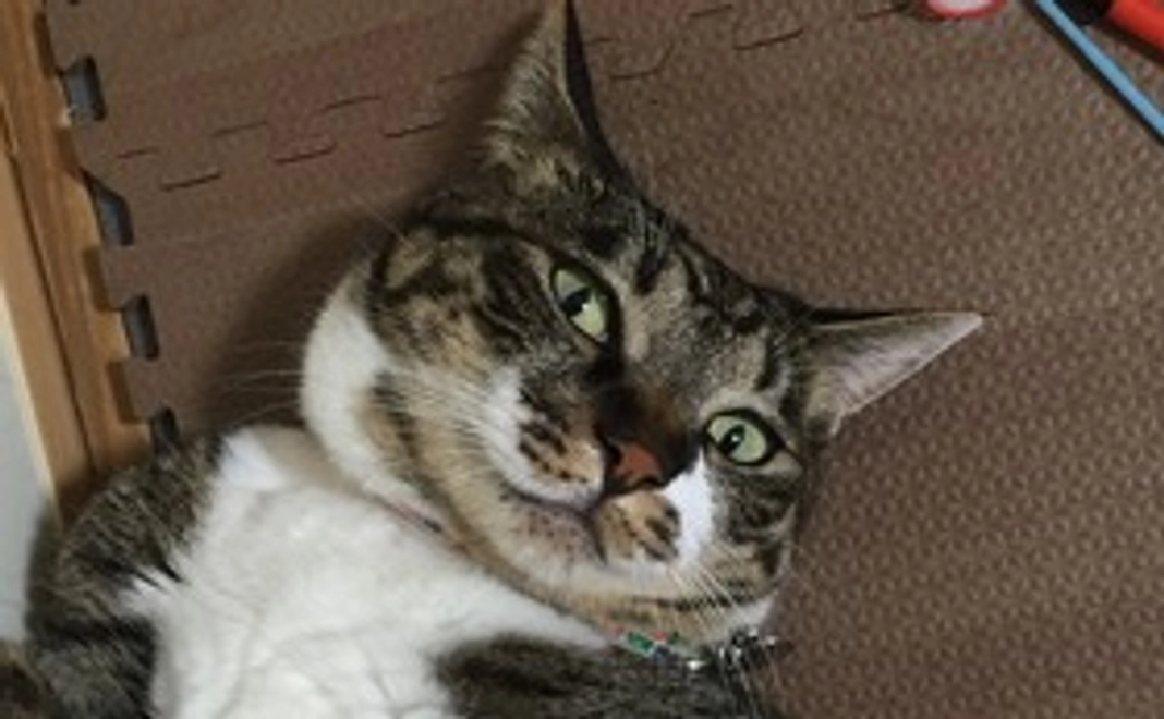 ☆心を込めたお礼メール☆