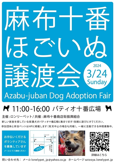 明日の【麻布十番ほごいぬ譲渡会】でクラウドファンディングのチラシを配布していただきます！