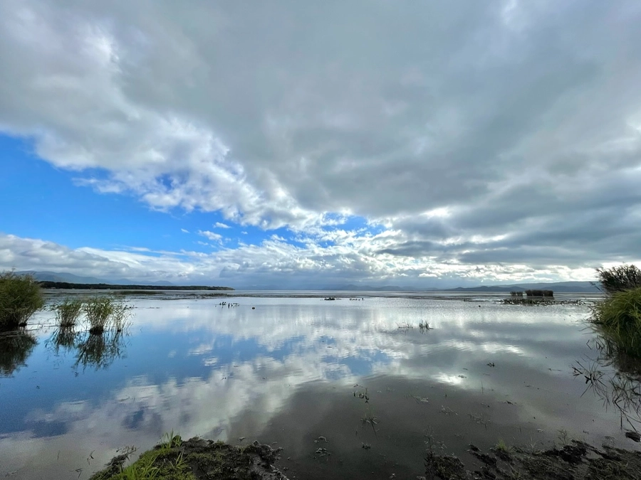 猪苗代湖水質保全活動レポート 菱回収の様子 令和6年10