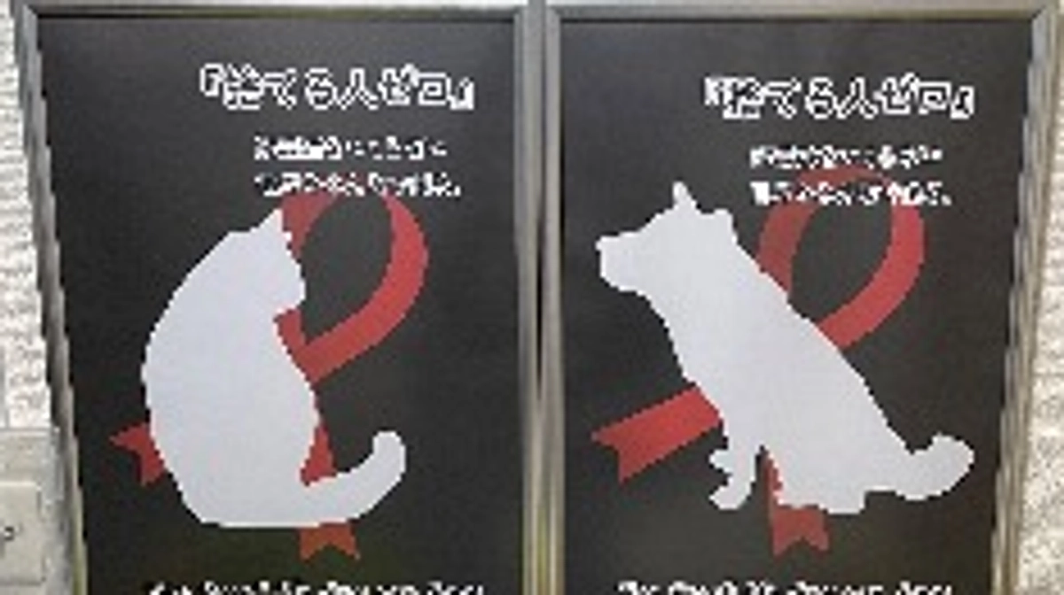 応援ありがとうございます。