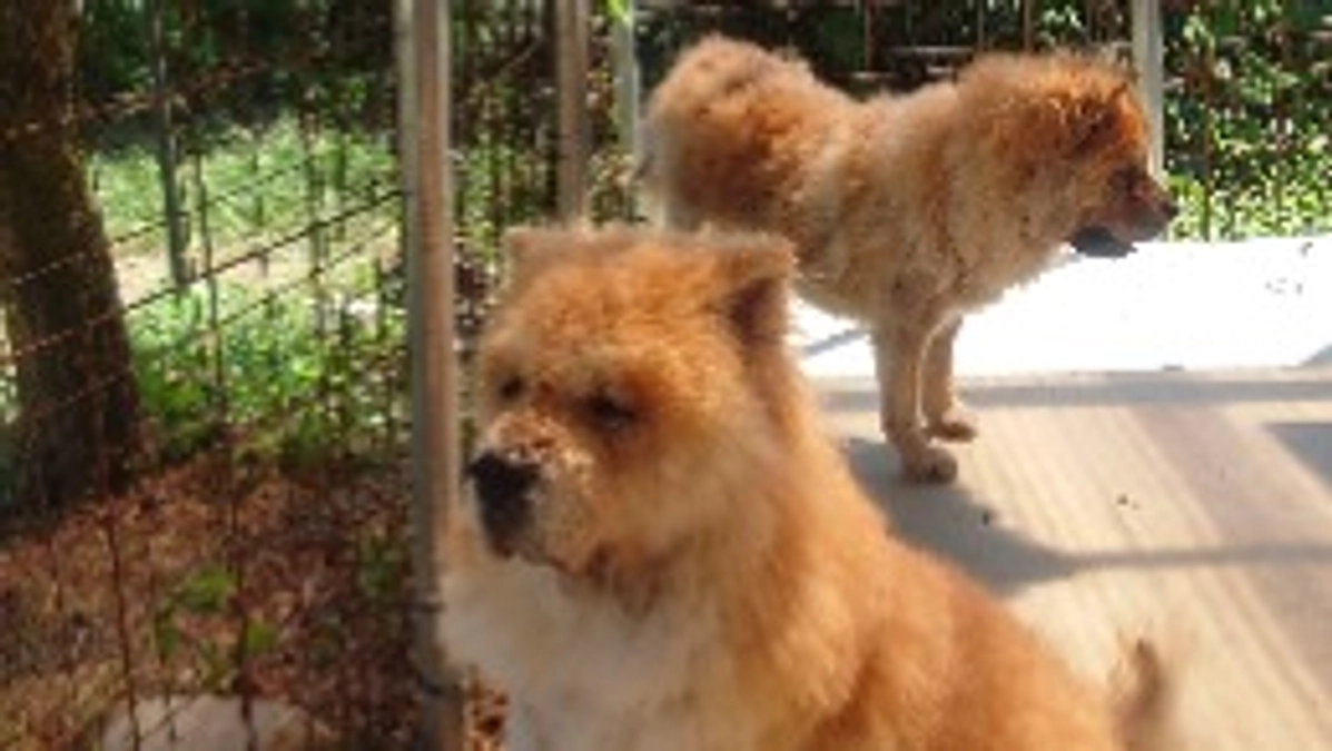 8月収支報告と、そして･･･