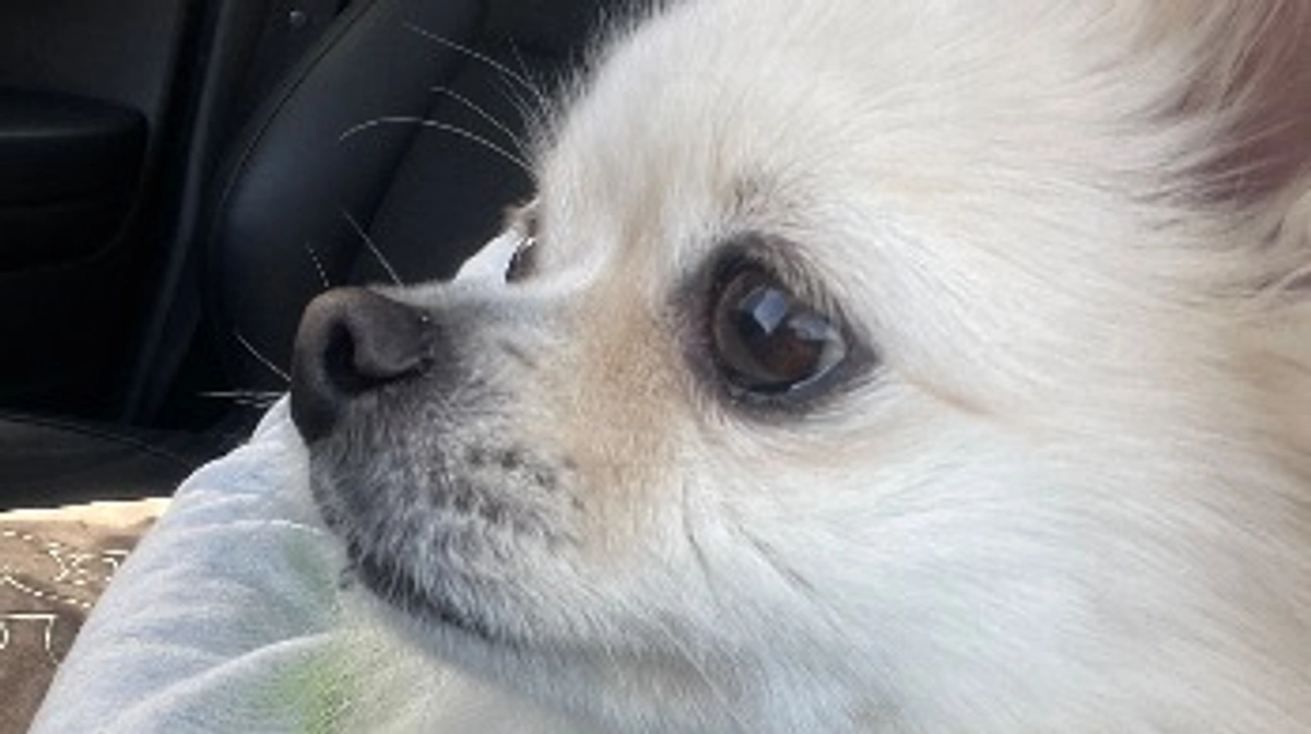 🆘残り8時間🆘