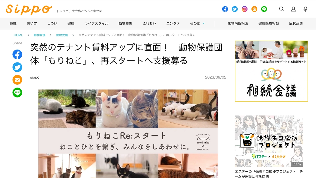 sippoさんに掲載いただきました！