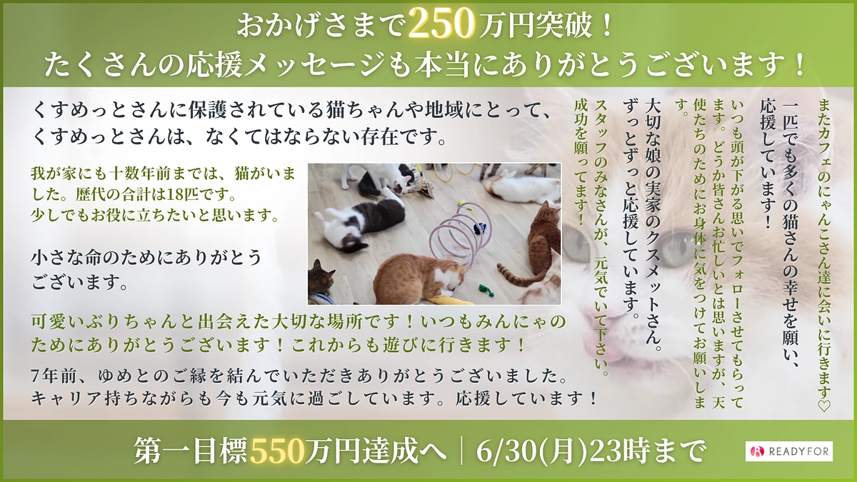 おかげさまで250万円まできました！第一目標達成まであと300万円、まだまだ遠いですが頑張ります