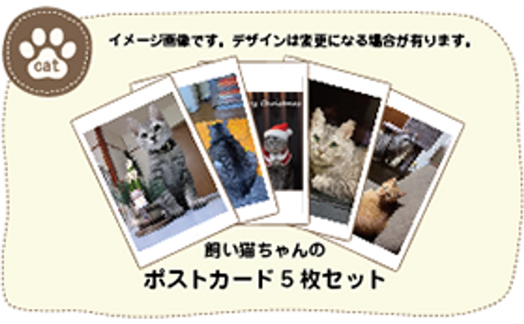 ポストカード５枚セット【写真】／お礼メール