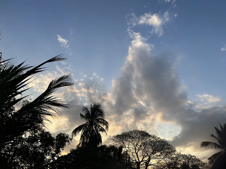 サポーターさんの声～皆さんの無事とミャンマーの平和を願っています