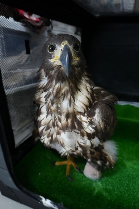 皆さま、本当にどうもありがとうございました！