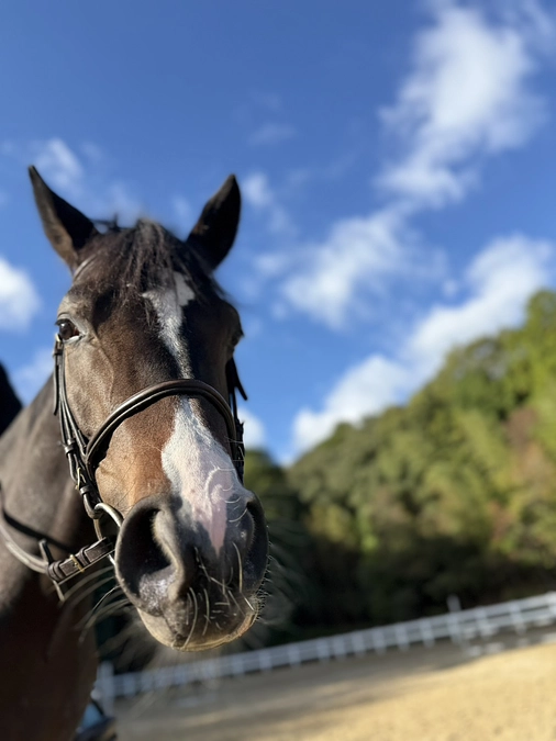 リトレースサポーター活動報告vol.3