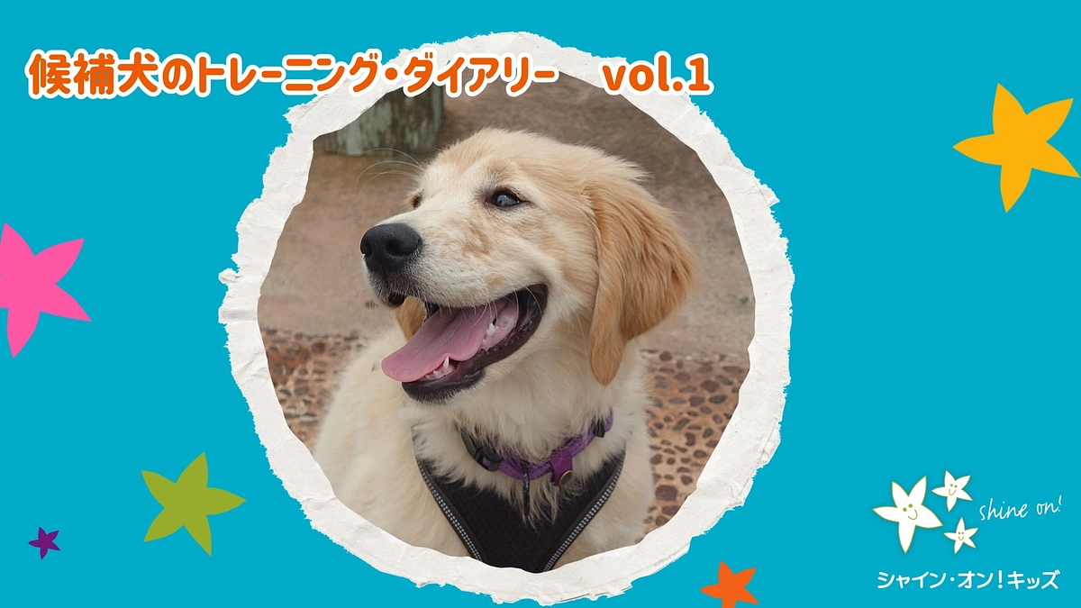 候補犬のトレーニング・ダイアリー　vol.1