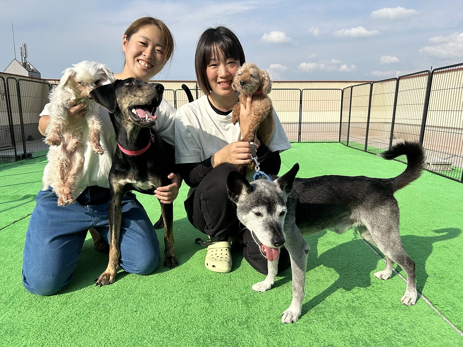 いよいよクラウドファンディング開始致しました