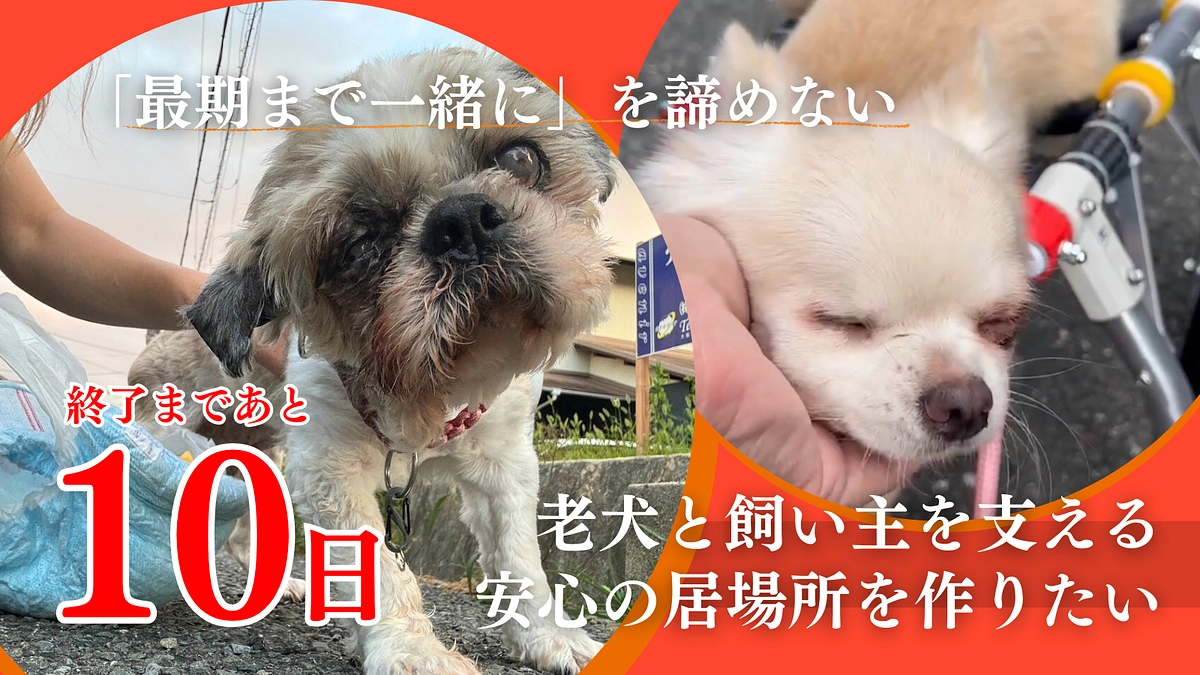 【残り10日、ラストスパート】最終目標2,000万円達成へ！！