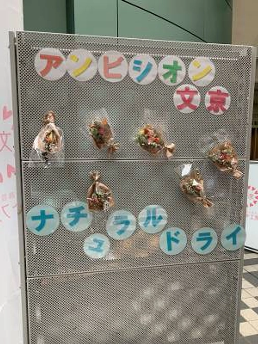 6月の支援額、73,872円を受領しました