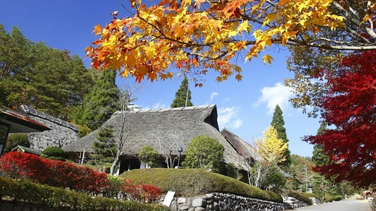愛媛県のふるさと旅行村に誕生！「ストーリーブックガーデン」