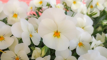 biora「びおら」は、皆さんが歌ってくつろげる、生活応援の空間。 のトップ画像