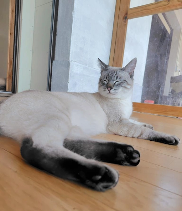 不思議前向き施設