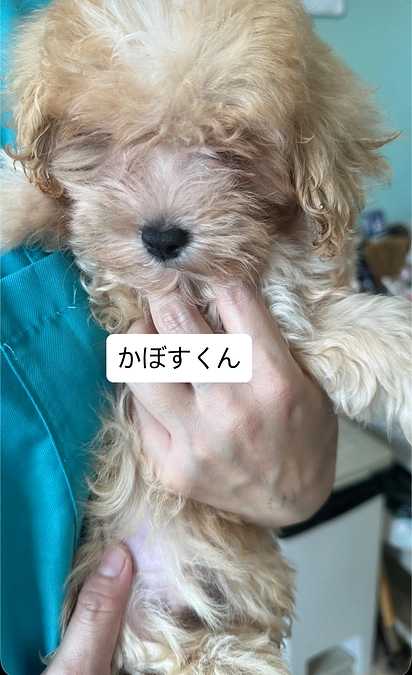 2025.8月　活動報告*