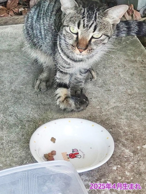 緊急保護しました!!