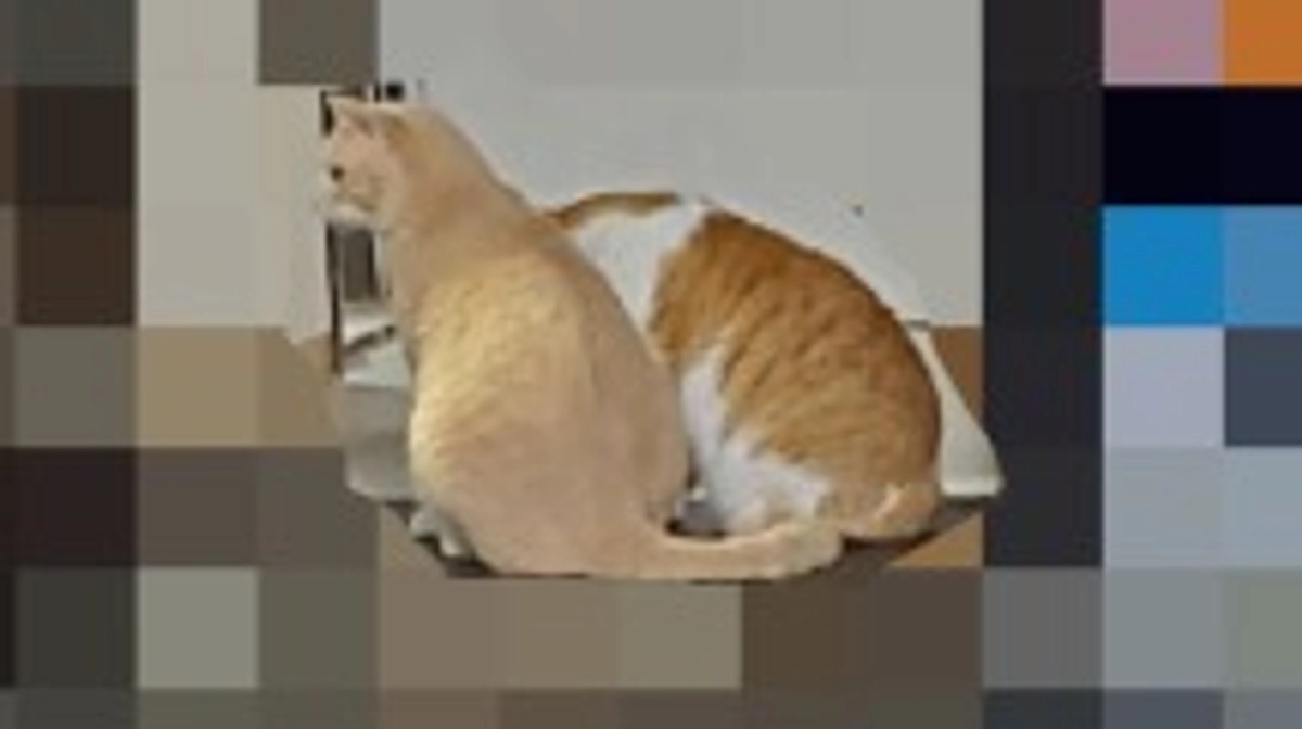 プロジェクト達成出来ました。皆様ありがとうございます。