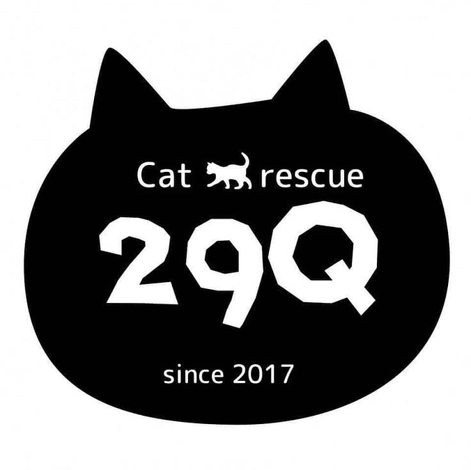応援メッセージ　Cat rescue29Q