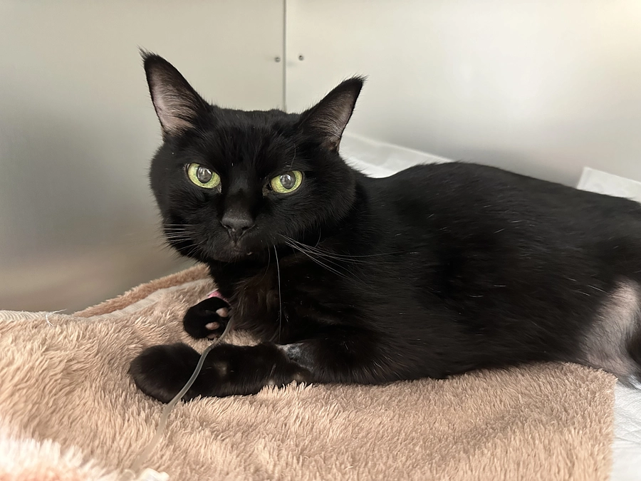 本日よりスタート！