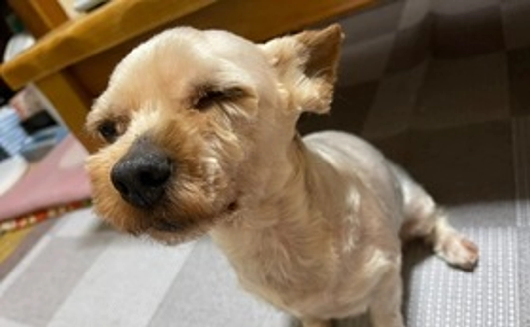 マーチ頑張ったね。