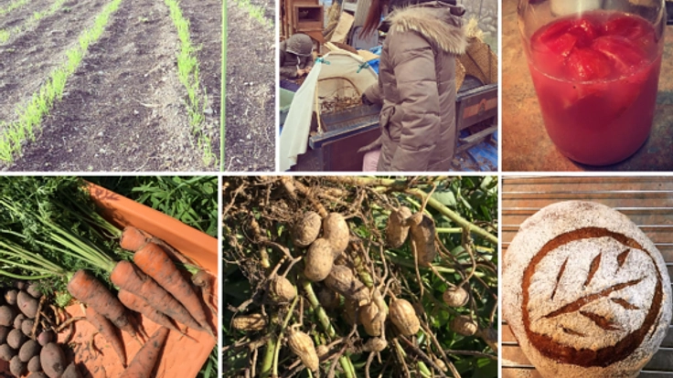 素材から手作り。無農薬自然栽培の農家がパンを焼くパン工房を!