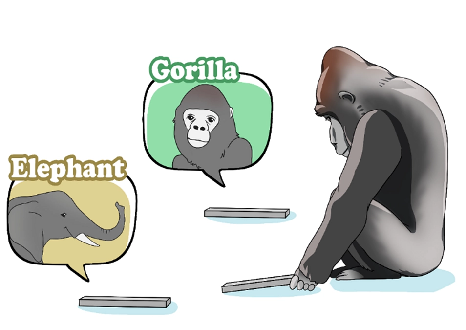 千葉大学 牛谷教授による認知エンリッチメントの解説です