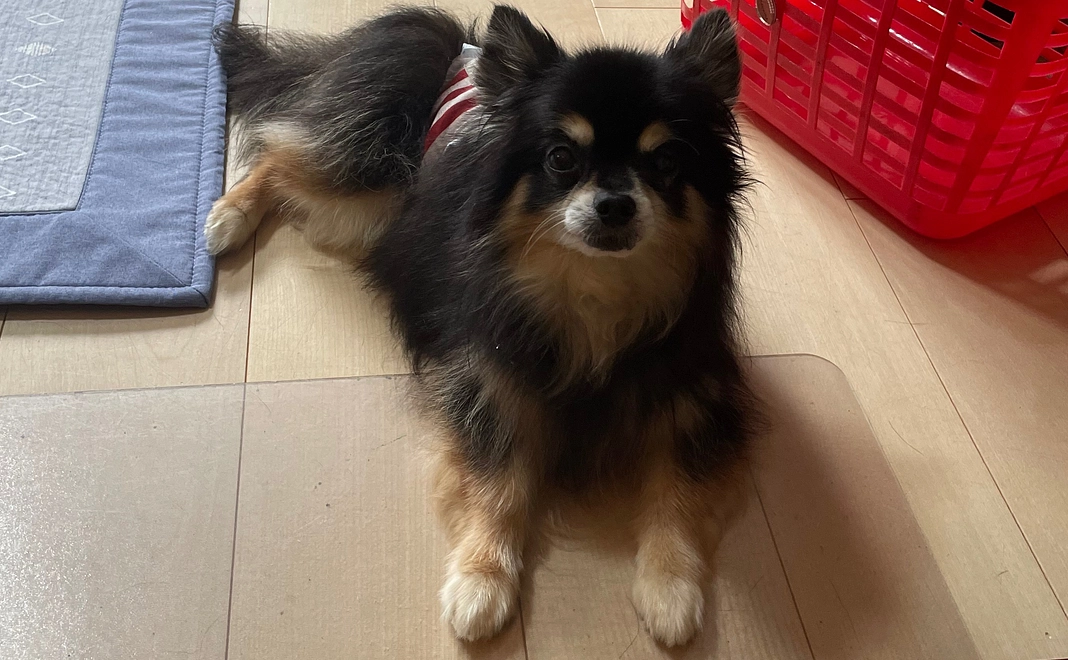 ご支援頂きありがとうございます④