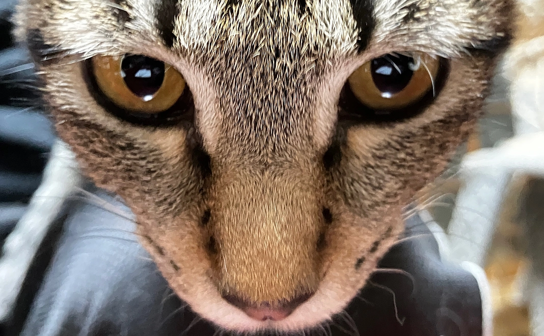 感謝のメッセージ：3000コース