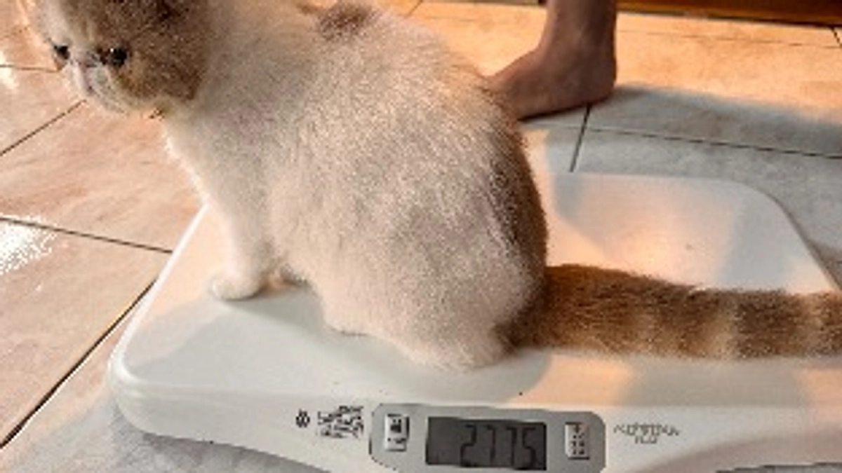 各SNSのリンクを掲載します