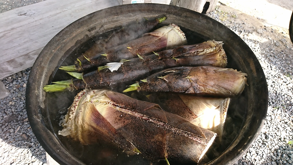 皆さんの温かいメッセージをご紹介します！その１