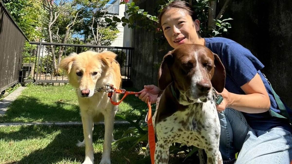 今井 明香様（里親様/愛犬クロエ）から応援メッセージをいただいております！