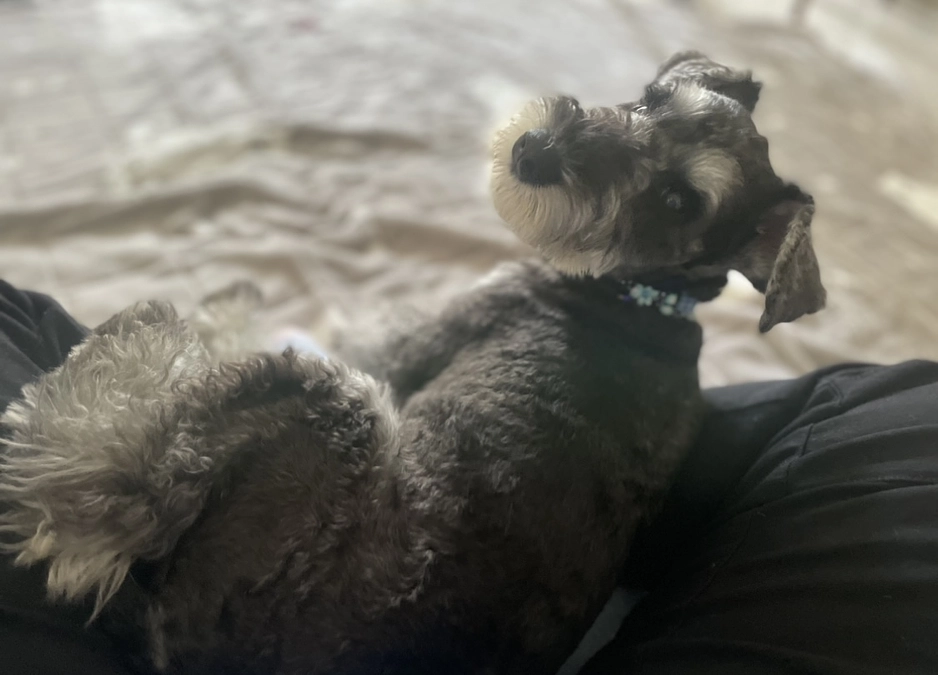 プロジェクト8日目