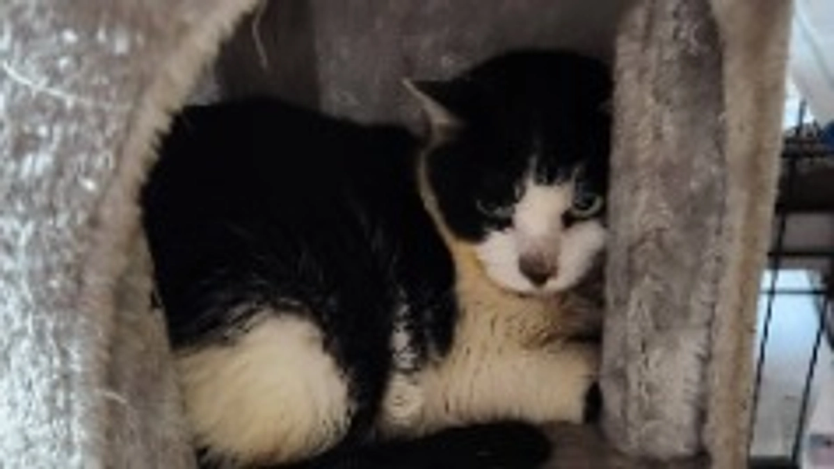 マリア病院へ行って来ました🏥