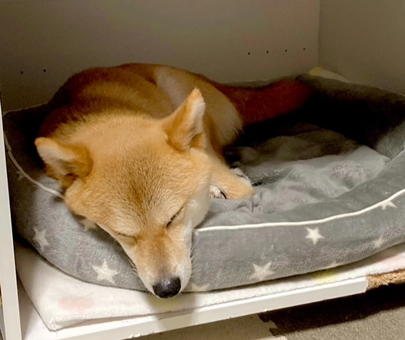 ありがとうございました！