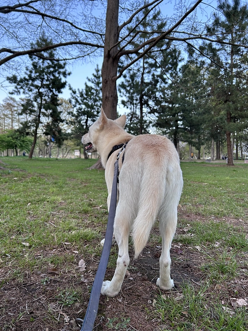 56/59 ☆ スノーボールのこと