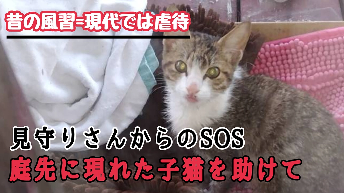 昔の悪しき風習がまだ残っているなんて