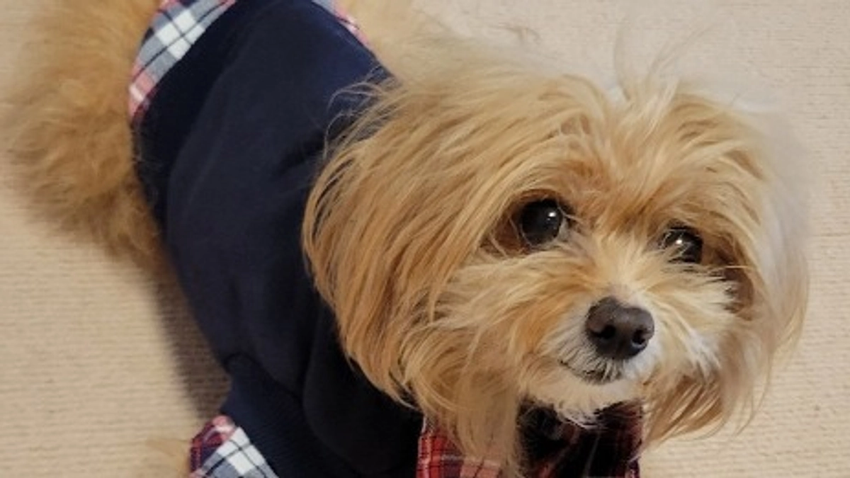 本日退院できました。