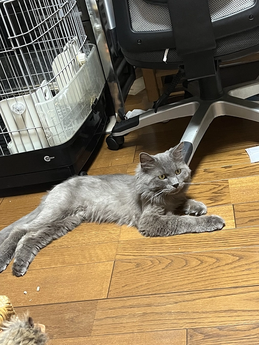 初日は爪切りをしました！