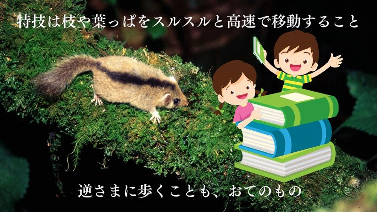 本を通じて未来への橋をかける