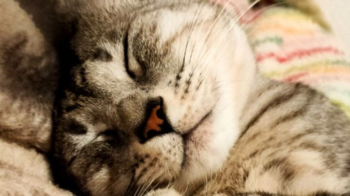 あと残り１４日をきります。