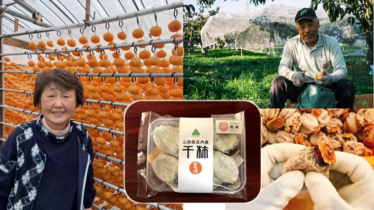 干し柿の仕上げもみ機械を開発したい