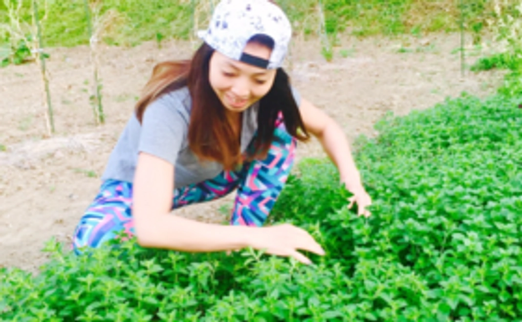 プロジェクト応援コース！