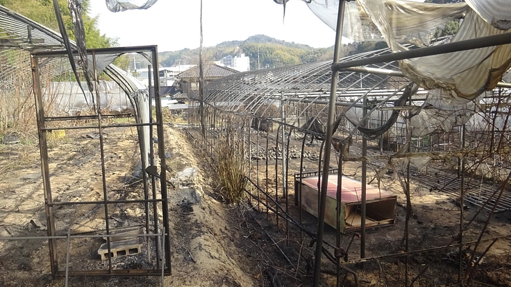 愛媛今治の山火事　ビニールハウス再建からの第１歩